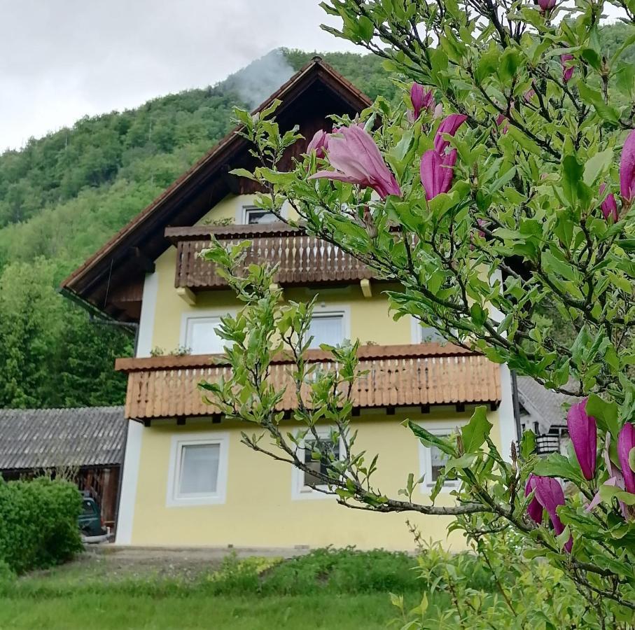 Apartment House Andrej Bohinji-tó Kültér fotó
