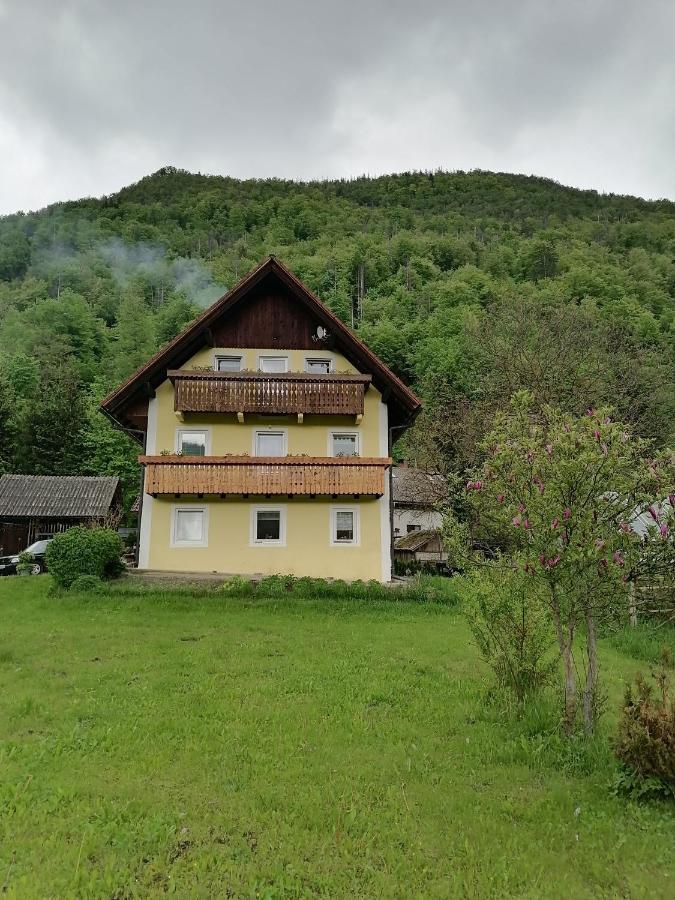 Apartment House Andrej Bohinji-tó Kültér fotó