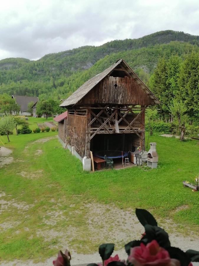 Apartment House Andrej Bohinji-tó Kültér fotó