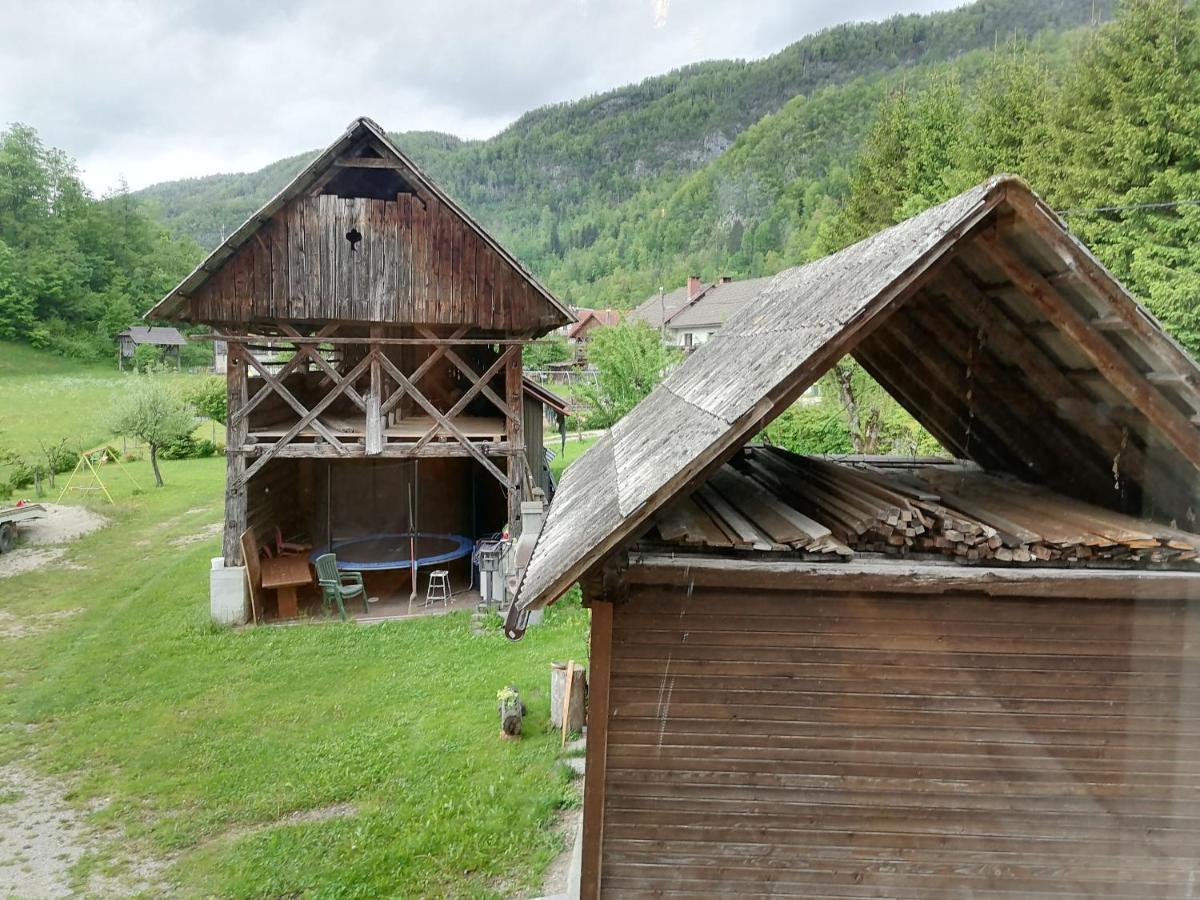 Apartment House Andrej Bohinji-tó Kültér fotó