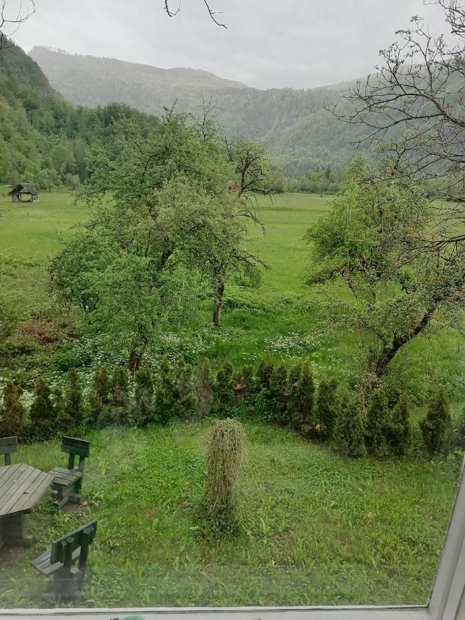 Apartment House Andrej Bohinji-tó Kültér fotó
