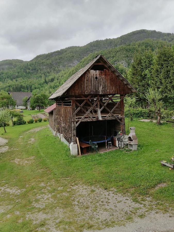 Apartment House Andrej Bohinji-tó Kültér fotó