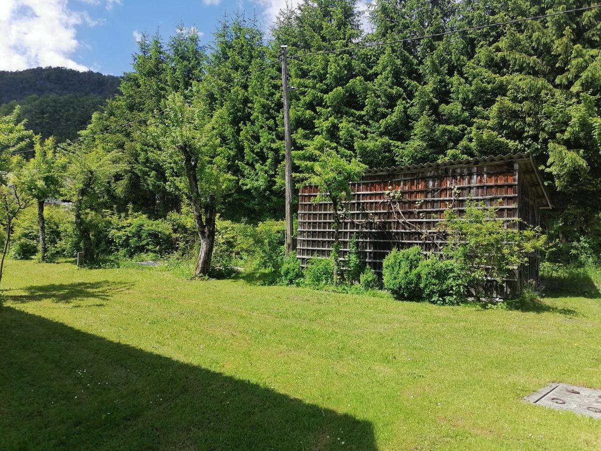 Apartment House Andrej Bohinji-tó Kültér fotó