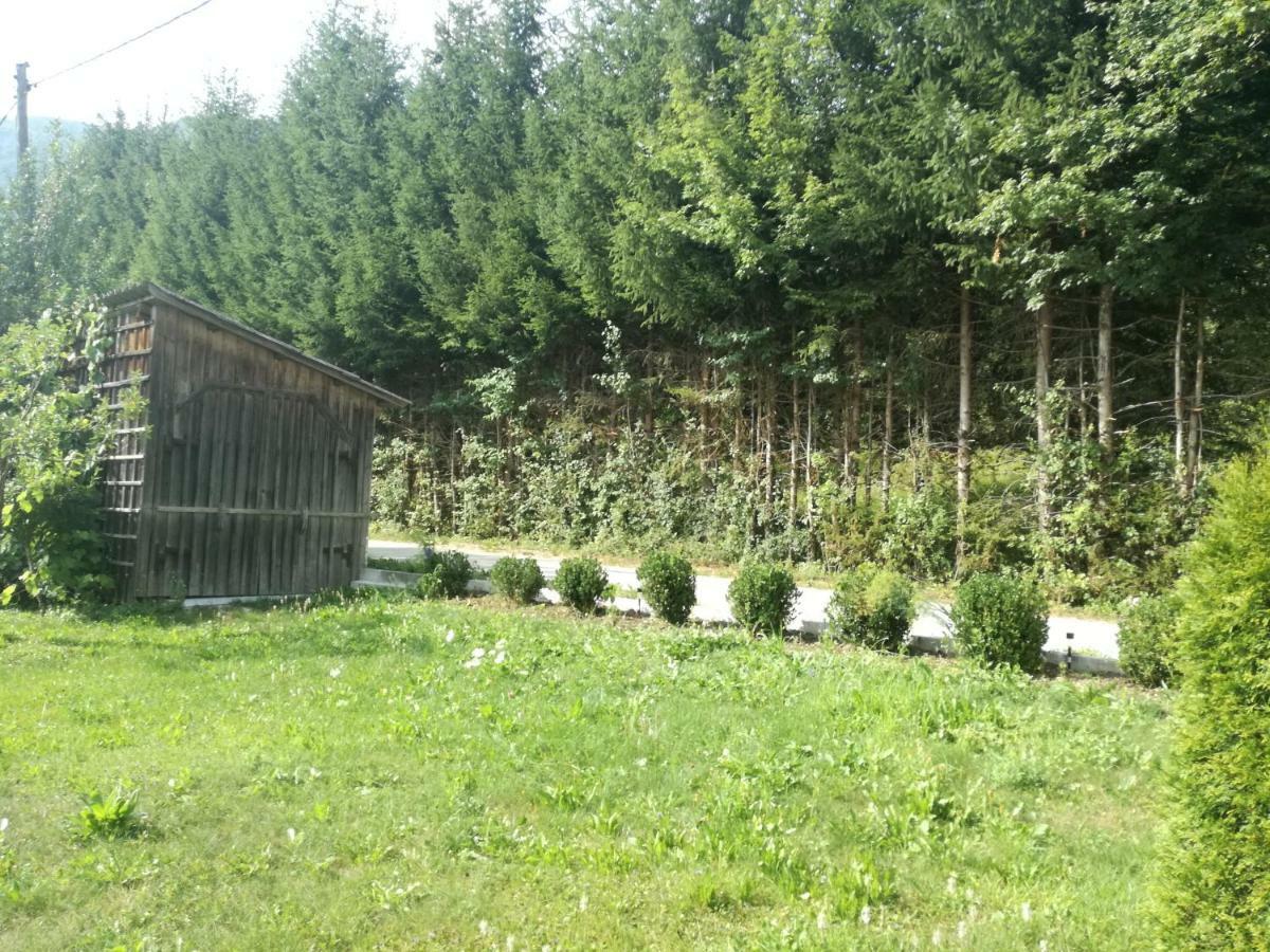 Apartment House Andrej Bohinji-tó Kültér fotó