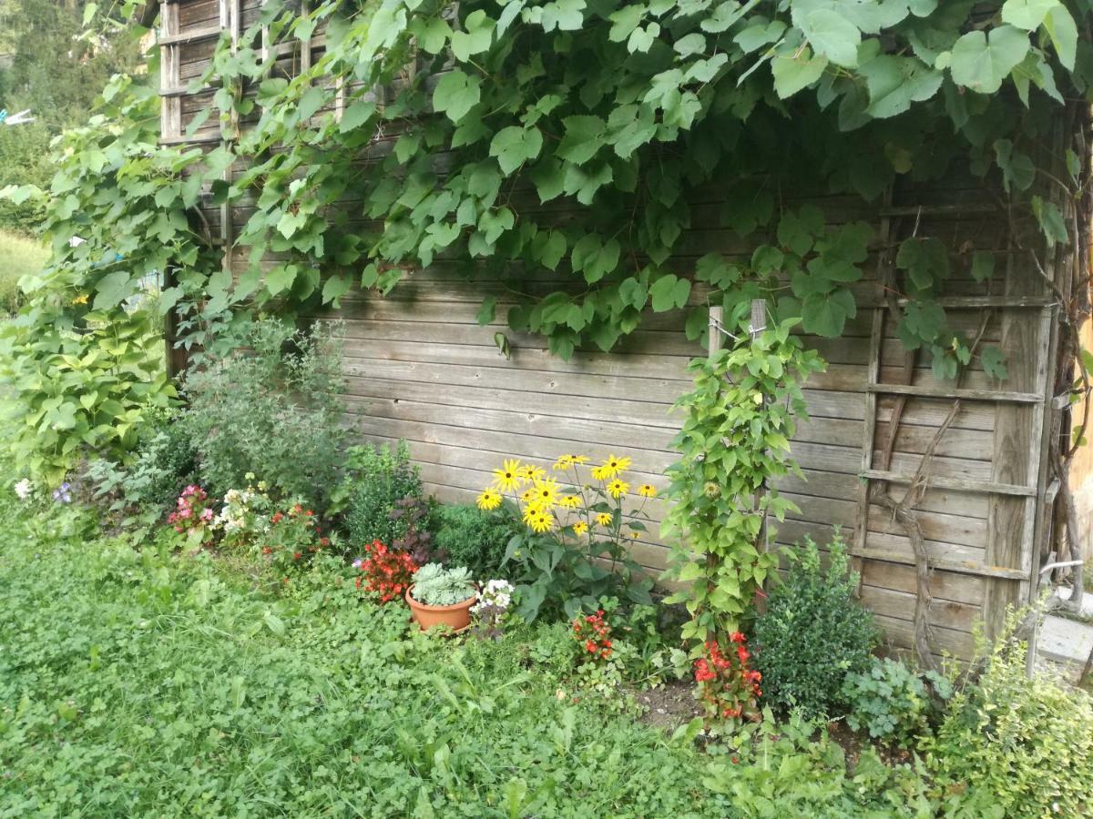 Apartment House Andrej Bohinji-tó Kültér fotó