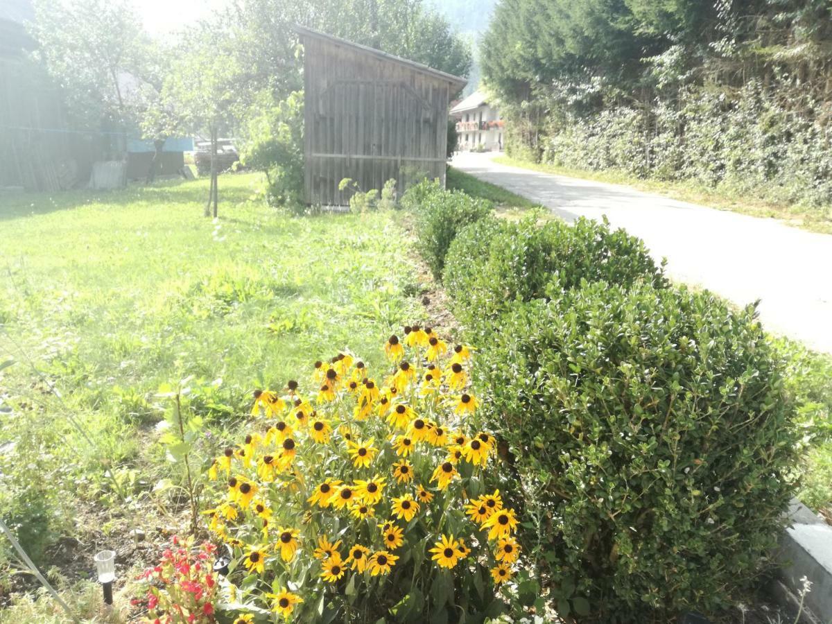 Apartment House Andrej Bohinji-tó Kültér fotó